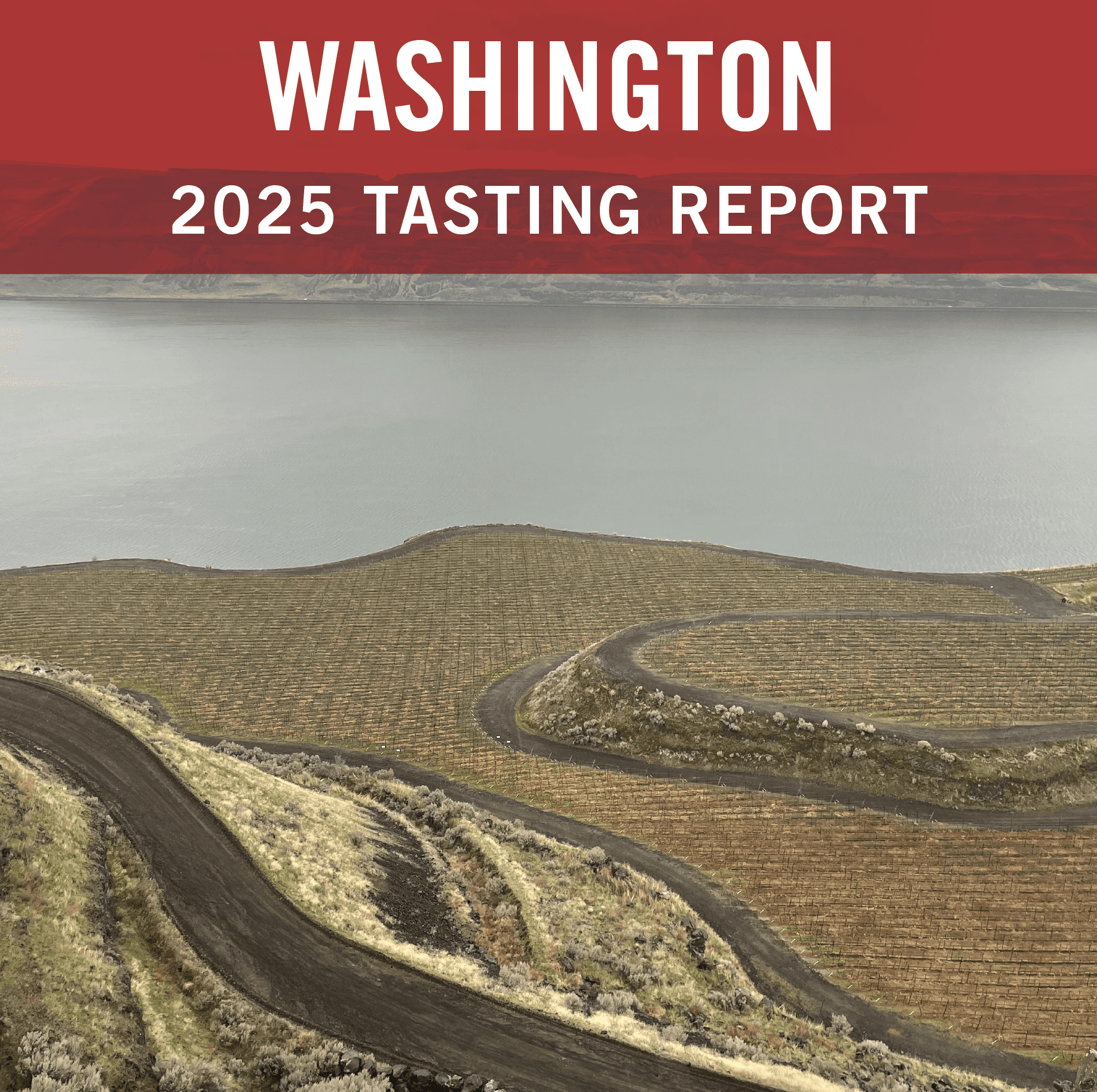Washington 2025 Tasting Report: Winemaking Without Compromise Image