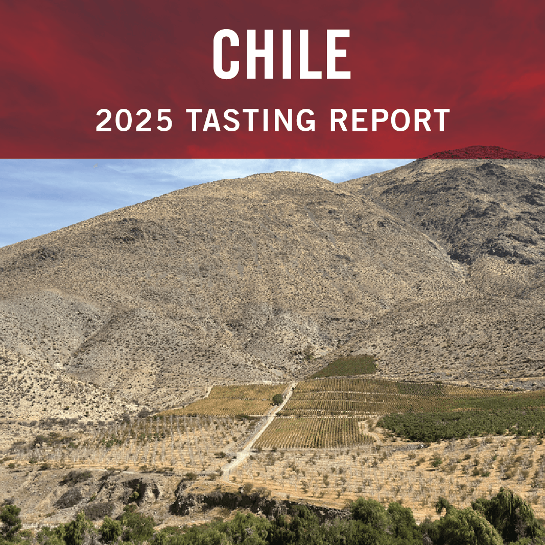Chile 2025 Tasting Report: A Premium Push, Water Woes and a New Era of Viticulture Image