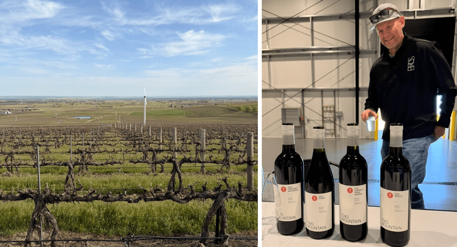 Breaking Away from the Big and Bold: Washington 2026 Tasting Report Image