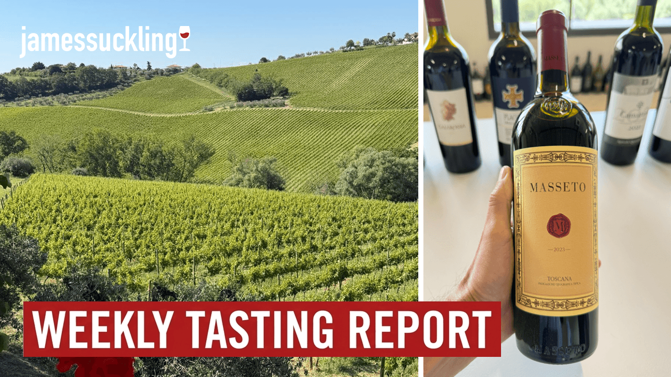 Bolgheri's Mediterranean Elegance Comes Alive: Weekly Tasting Report Image