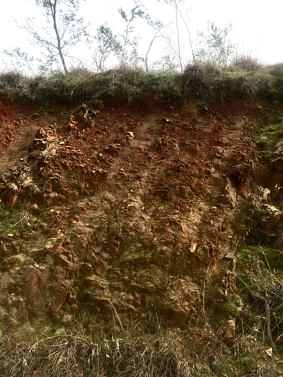 Beechworth soil profile