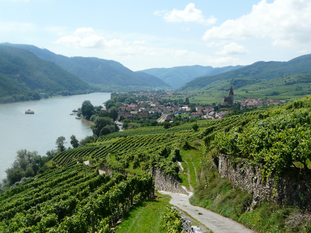 The view of Weissenkirchen in the Wachau from the great Achleiten site. (Photo credit: Gerhard Elze)
