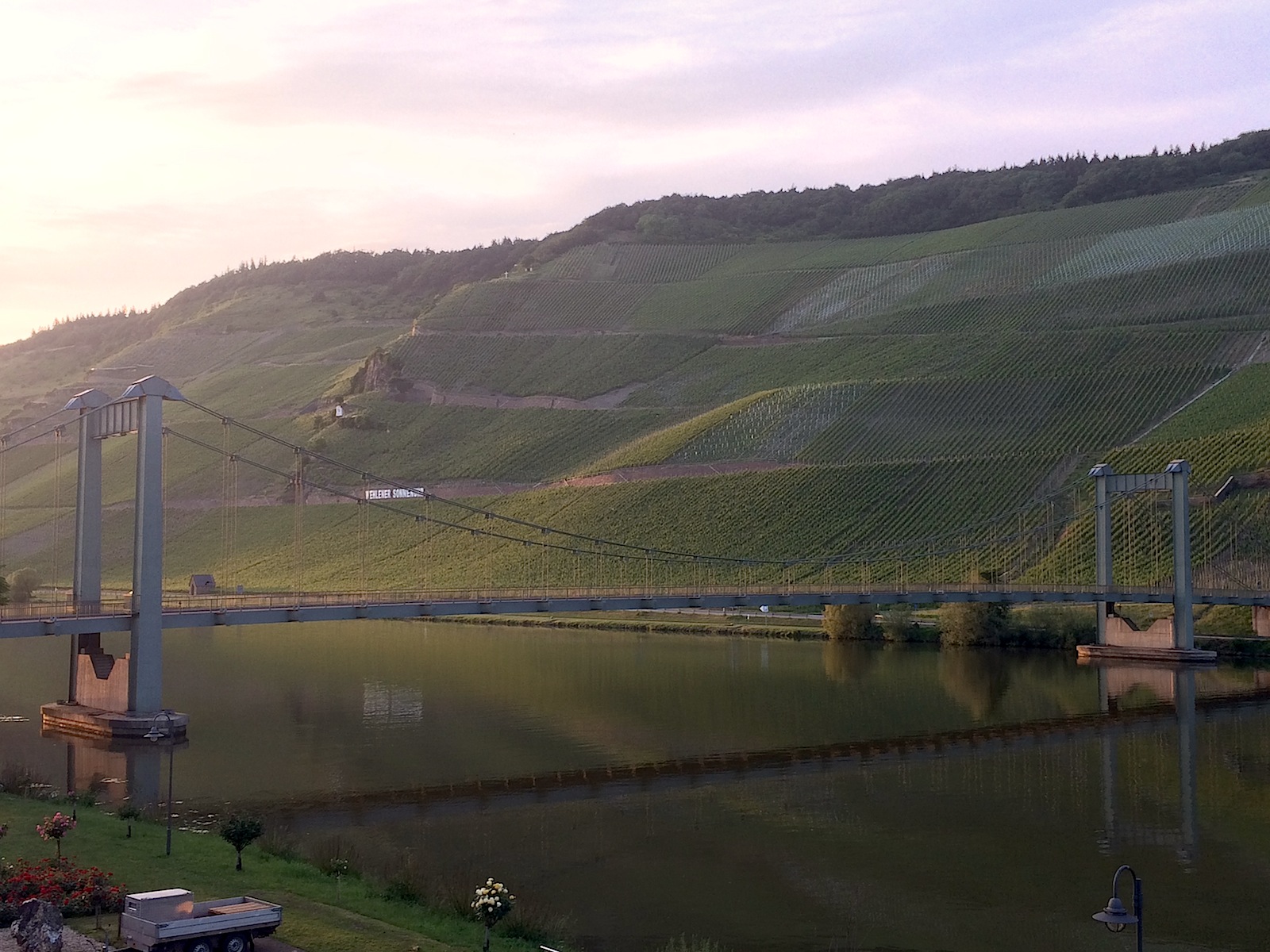 2017 Mosel Vintage