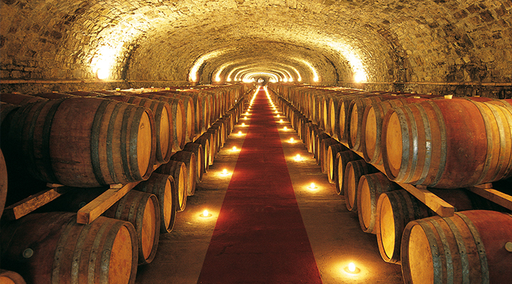CASTELLO DI MONSANTO