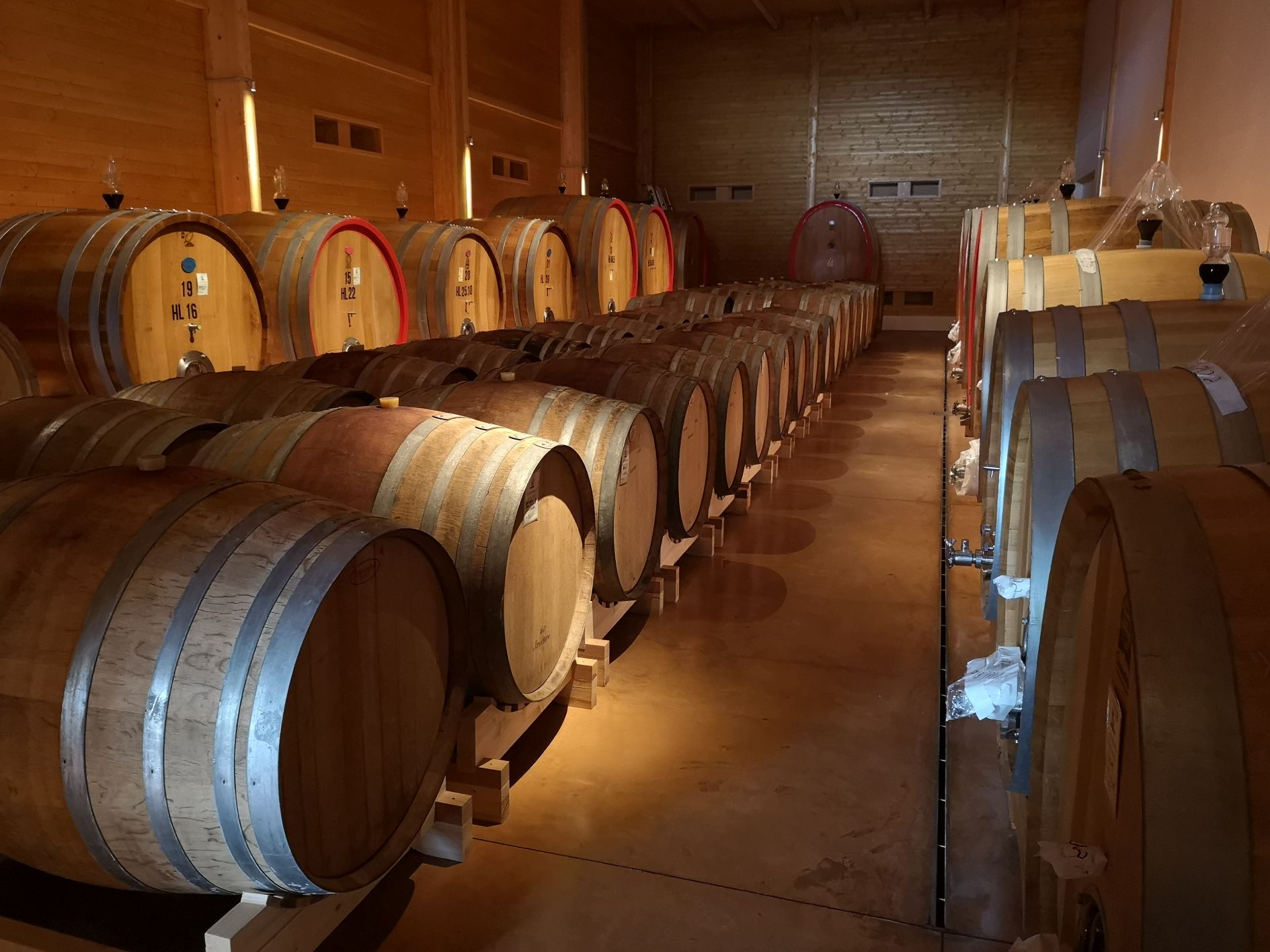 Italy's incredible year About 6,400 wines rated