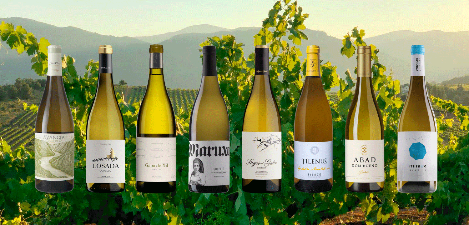 $15 wines that taste like $50: 2018 godello