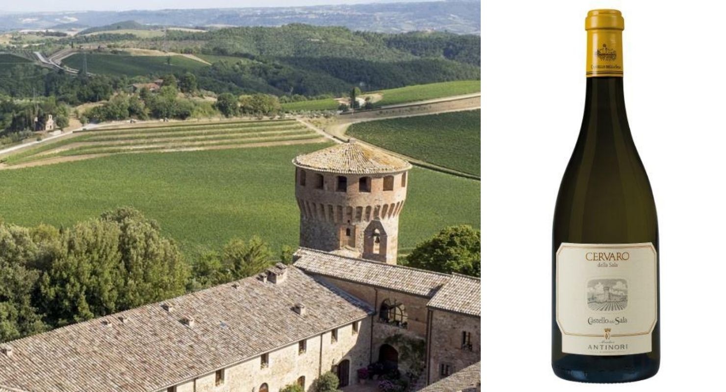 Top 100 Italian white wines for the summer JamesSuckling