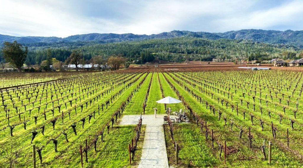 Top 100 Wines of United States 2020