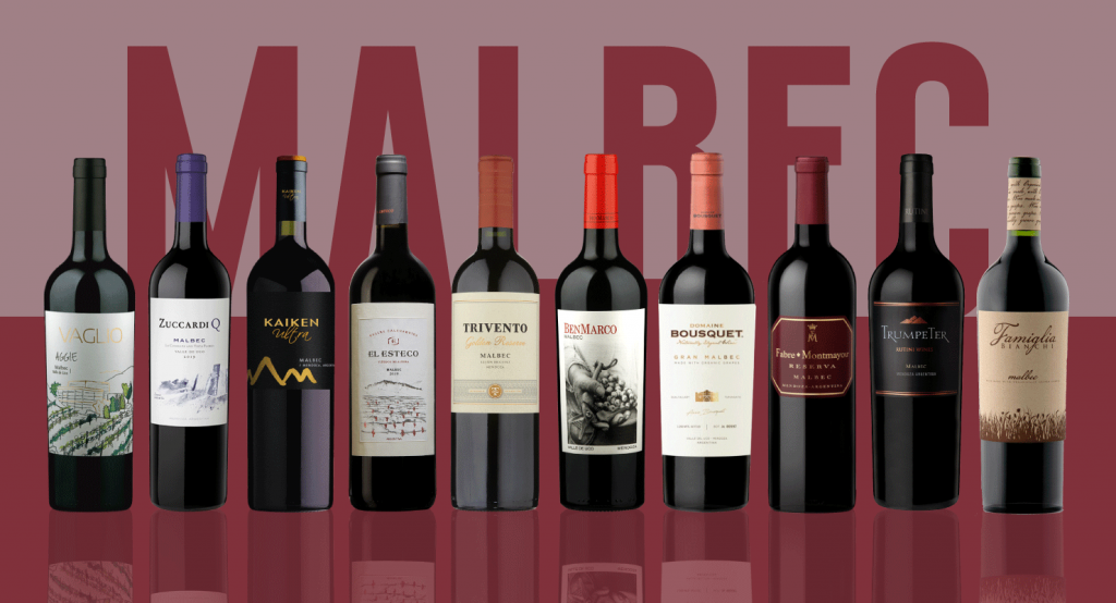 15 bottles that taste like 50 2019 Argentine Malbecs to buy now