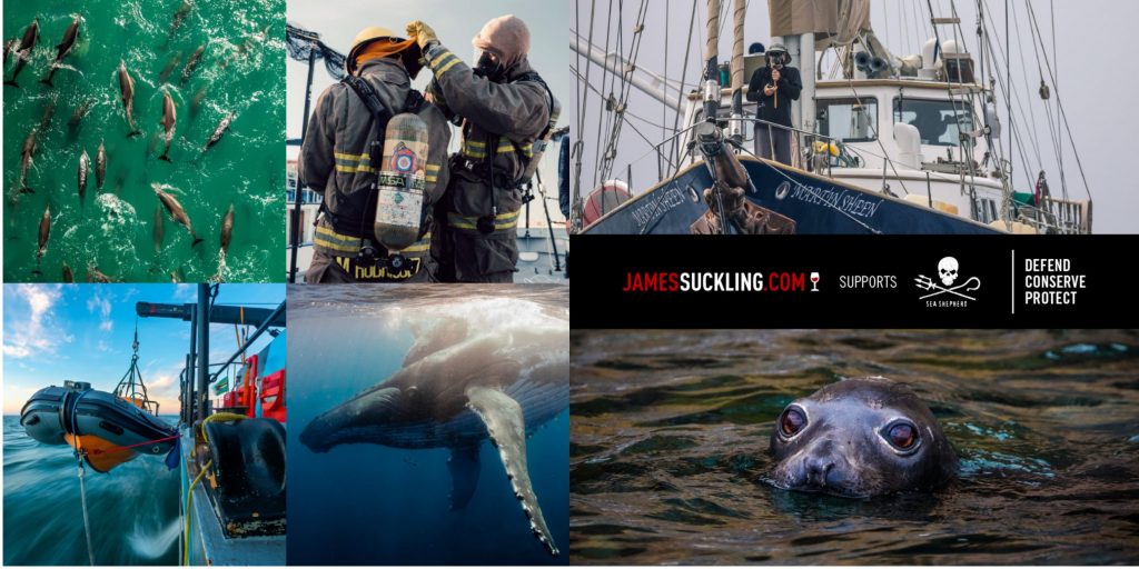 Sea Shepherd - James Suckling 