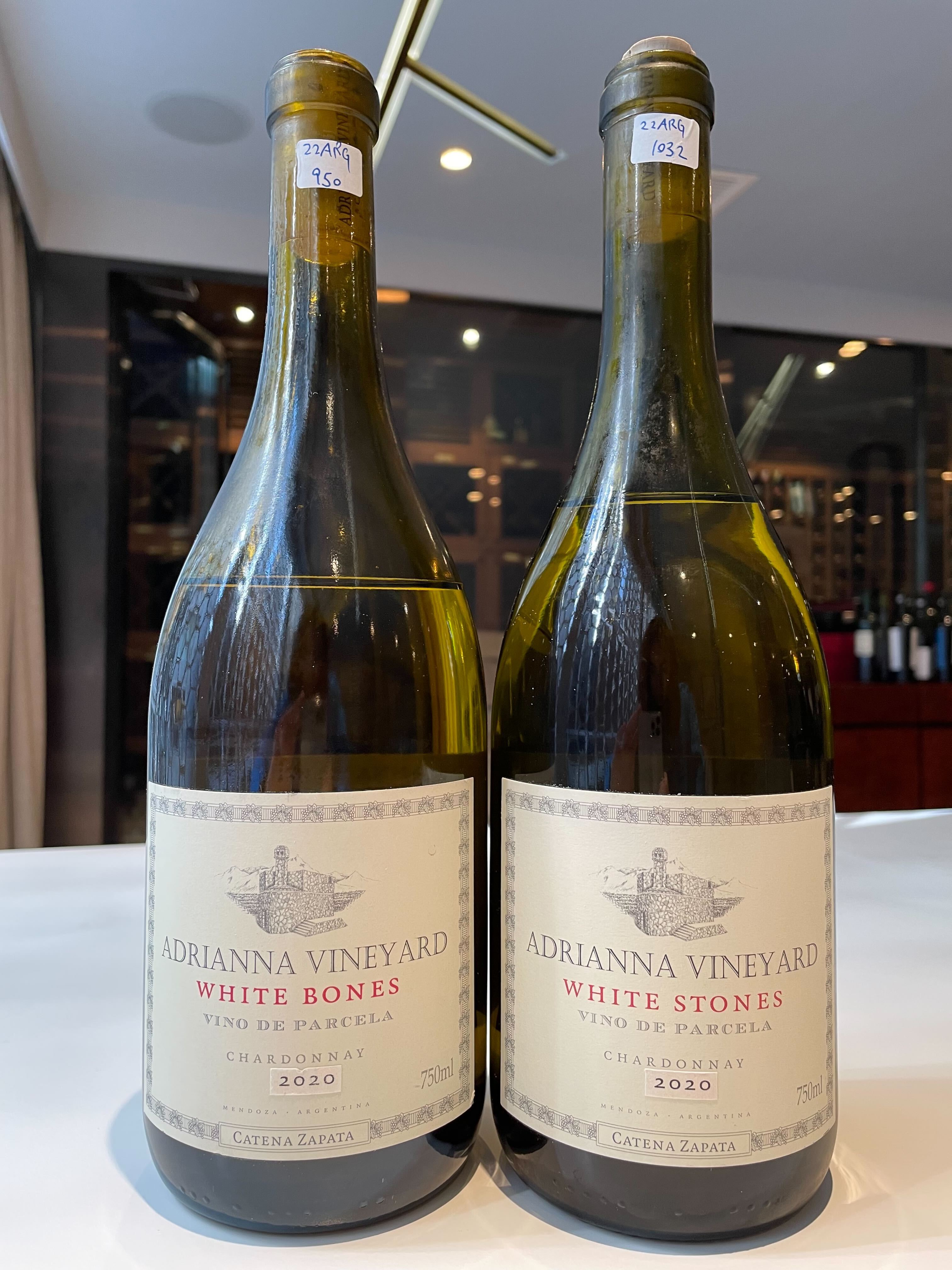 Top 100 Wines of Argentina 2022 by