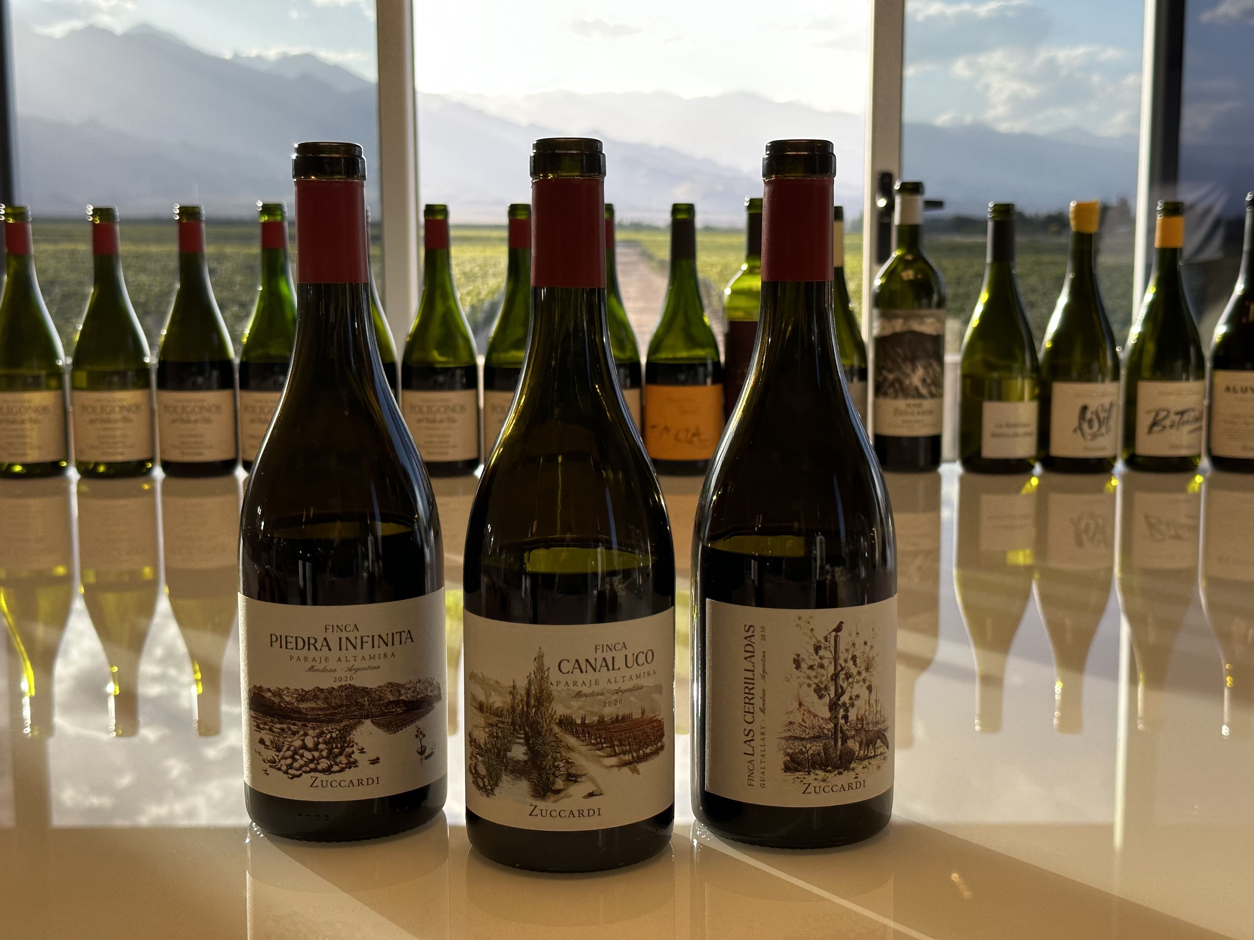 Argentina Annual Report: Conjuring Greatness Beyond Malbec